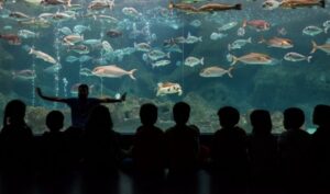 Cretaquarium | Greece’s Largest Aquarium is on Crete